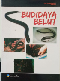 Image of BUDIDAYA BELUT